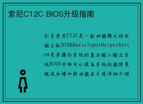 索尼C12C BIOS升级指南